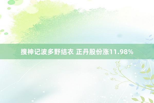 搜神记波多野结衣 正丹股份涨11.98%