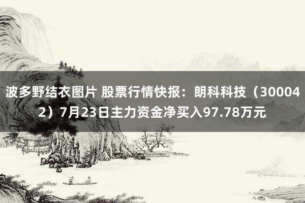 波多野结衣图片 股票行情快报：朗科科技（300042）7月23日主力资金净买入97.78万元