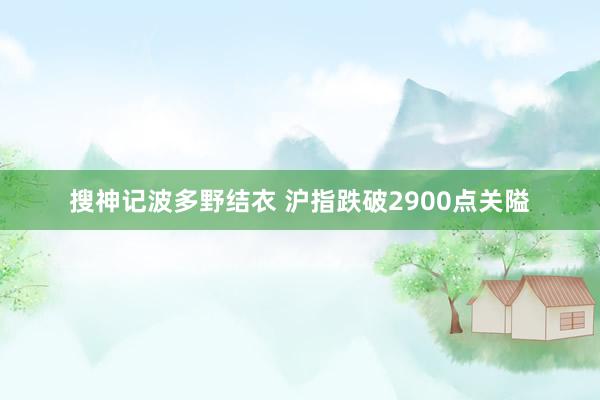 搜神记波多野结衣 沪指跌破2900点关隘