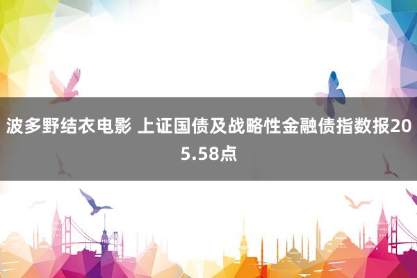 波多野结衣电影 上证国债及战略性金融债指数报205.58点