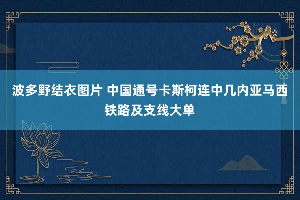 波多野结衣图片 中国通号卡斯柯连中几内亚马西铁路及支线大单