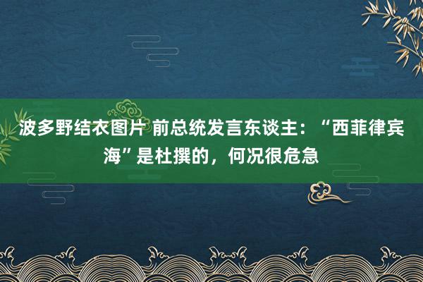 波多野结衣图片 前总统发言东谈主：“西菲律宾海”是杜撰的，何况很危急