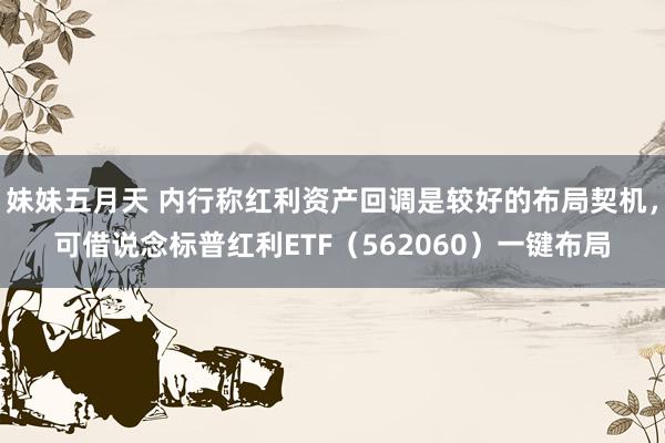 妹妹五月天 内行称红利资产回调是较好的布局契机，可借说念标普红利ETF（562060）一键布局