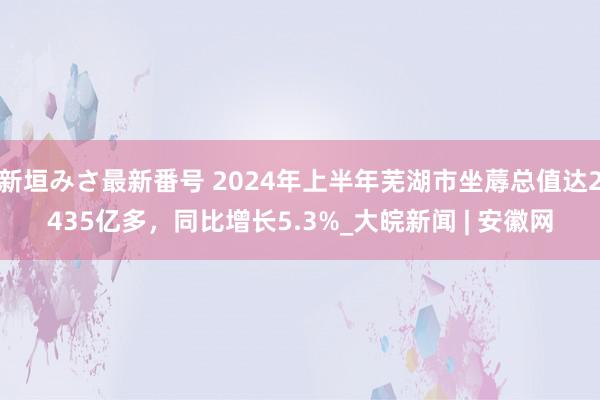 新垣みさ最新番号 2024年上半年芜湖市坐蓐总值达2435亿多，同比增长5.3%_大皖新闻 | 安徽网