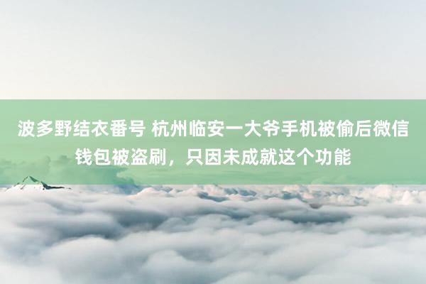 波多野结衣番号 杭州临安一大爷手机被偷后微信钱包被盗刷，只因未成就这个功能