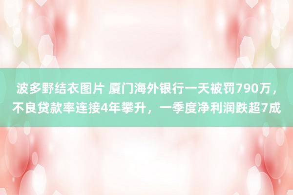 波多野结衣图片 厦门海外银行一天被罚790万，不良贷款率连接4年攀升，一季度净利润跌超7成