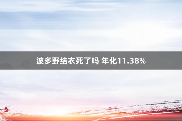 波多野结衣死了吗 年化11.38%