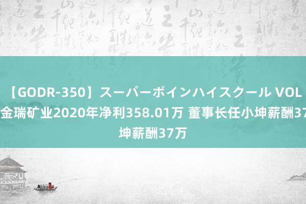 【GODR-350】スーパーボインハイスクール VOL.1 金瑞矿业2020年净利358.01万 董事长任小坤薪酬37万