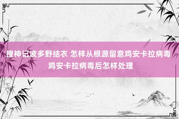 搜神记波多野结衣 怎样从根源留意鸡安卡拉病毒  鸡安卡拉病毒后怎样处理