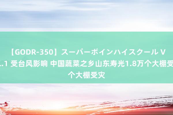 【GODR-350】スーパーボインハイスクール VOL.1 受台风影响 中国蔬菜之乡山东寿光1.8万个大棚受灾