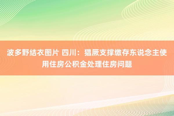 波多野结衣图片 四川：猖厥支撑缴存东说念主使用住房公积金处理住房问题