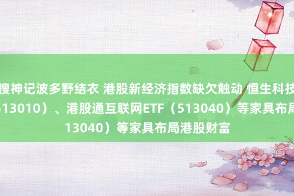 搜神记波多野结衣 港股新经济指数缺欠触动 恒生科技30ETF（513010）、港股通互联网ETF（513040）等家具布局港股财富