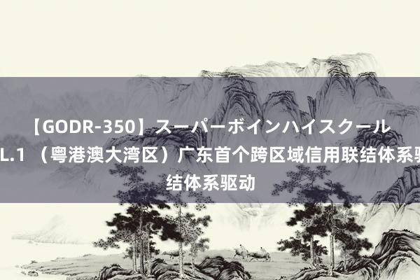 【GODR-350】スーパーボインハイスクール VOL.1 （粤港澳大湾区）广东首个跨区域信用联结体系驱动