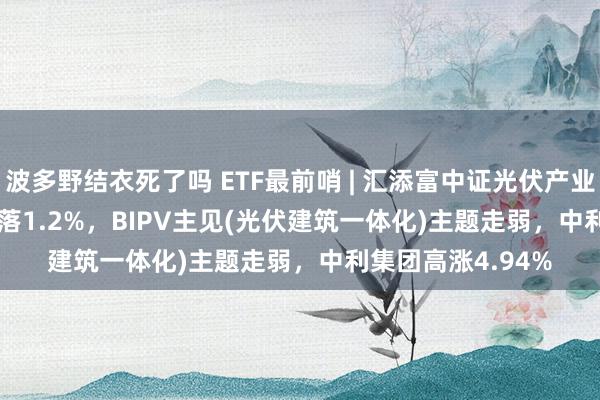 波多野结衣死了吗 ETF最前哨 | 汇添富中证光伏产业ETF(516290)下落1.2%，BIPV主见(光伏建筑一体化)主题走弱，中利集团高涨4.94%