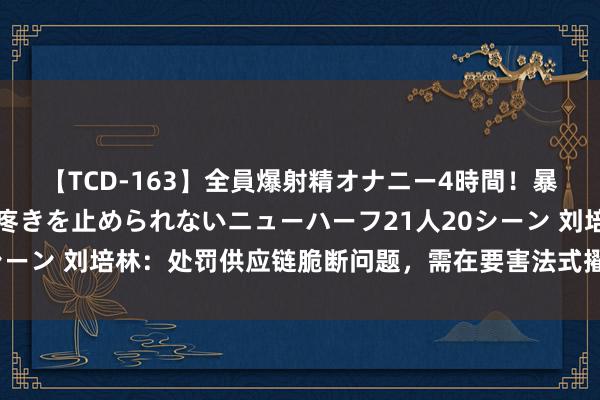 【TCD-163】全員爆射精オナニー4時間！暴発寸前！！ペニクリの疼きを止められないニューハーフ21人20シーン 刘培林：处罚供应链脆断问题，需在要害法式擢升库存冗余度