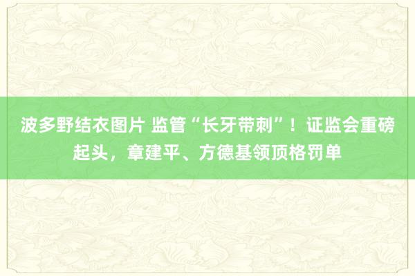 波多野结衣图片 监管“长牙带刺”！证监会重磅起头，章建平、方德基领顶格罚单