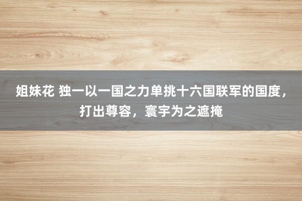 姐妹花 独一以一国之力单挑十六国联军的国度，打出尊容，寰宇为之遮掩