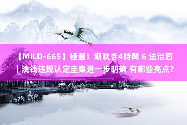 【MILD-665】極選！潮吹き4時間 6 法治面｜洗钱违规认定圭臬进一步明确 有哪些亮点？