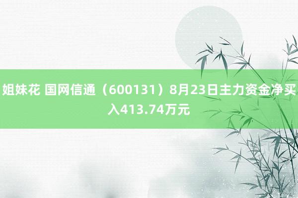 姐妹花 国网信通（600131）8月23日主力资金净买入413.74万元