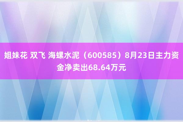 姐妹花 双飞 海螺水泥（600585）8月23日主力资金净卖出68.64万元