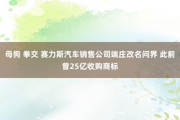 母狗 拳交 赛力斯汽车销售公司端庄改名问界 此前曾25亿收购商标