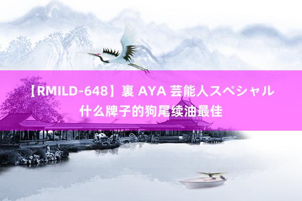 【RMILD-648】裏 AYA 芸能人スペシャル 什么牌子的狗尾续油最佳